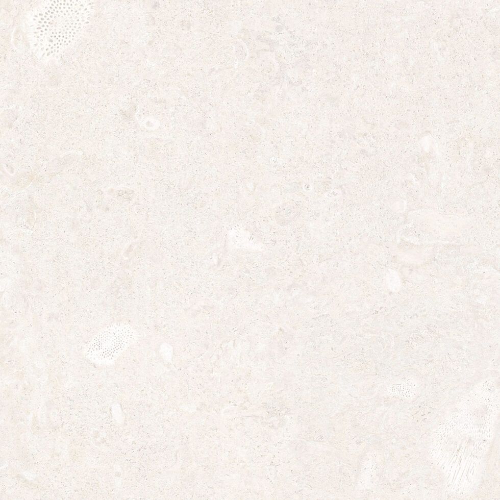 G. Coralina Blanco, Grès cérame effet pierre
